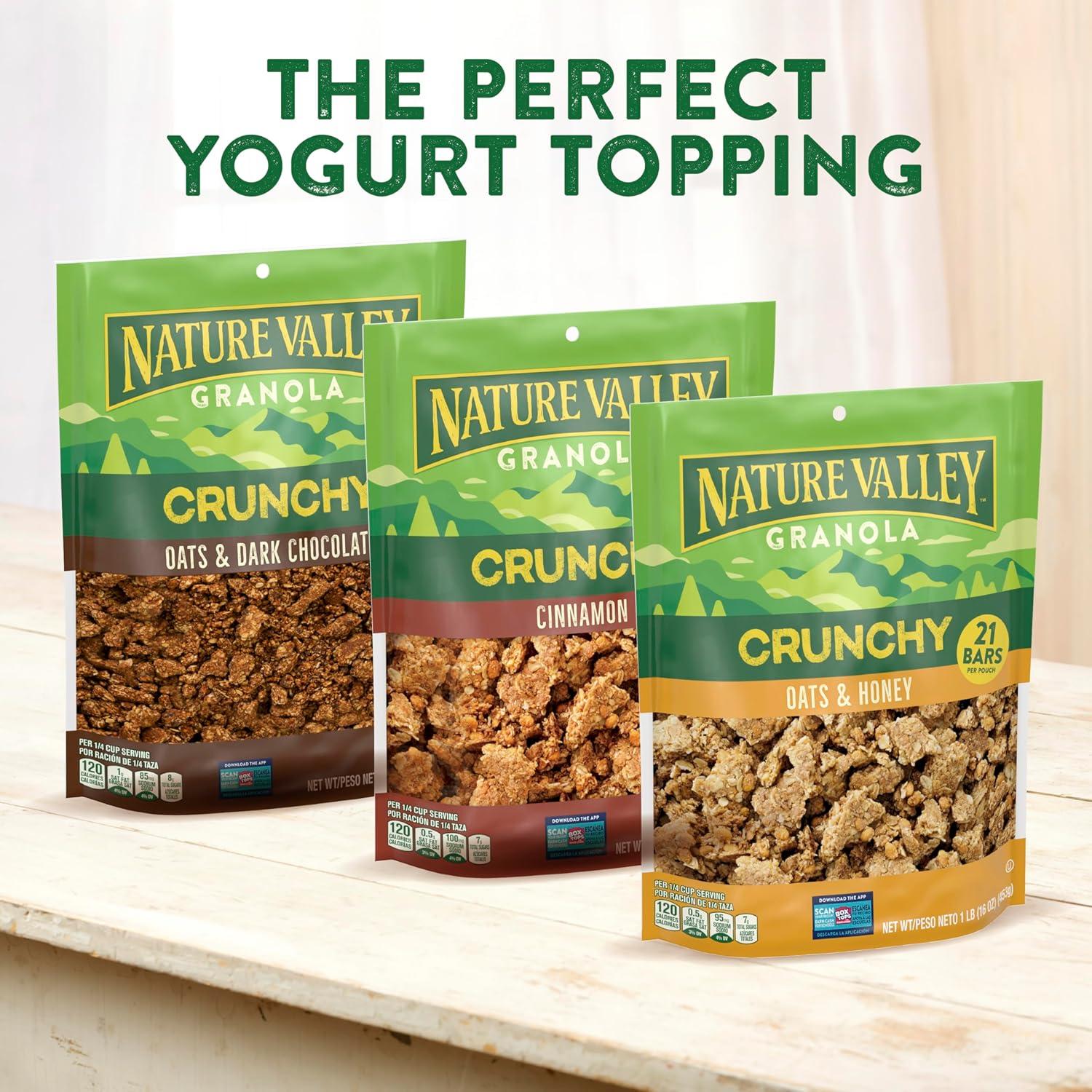 image:imageNature Valley Granola Oats and Dark Chocolate Crunchy Granola Loose Granola Made With Whole Grain Oats 16 OZ Resealable Bag